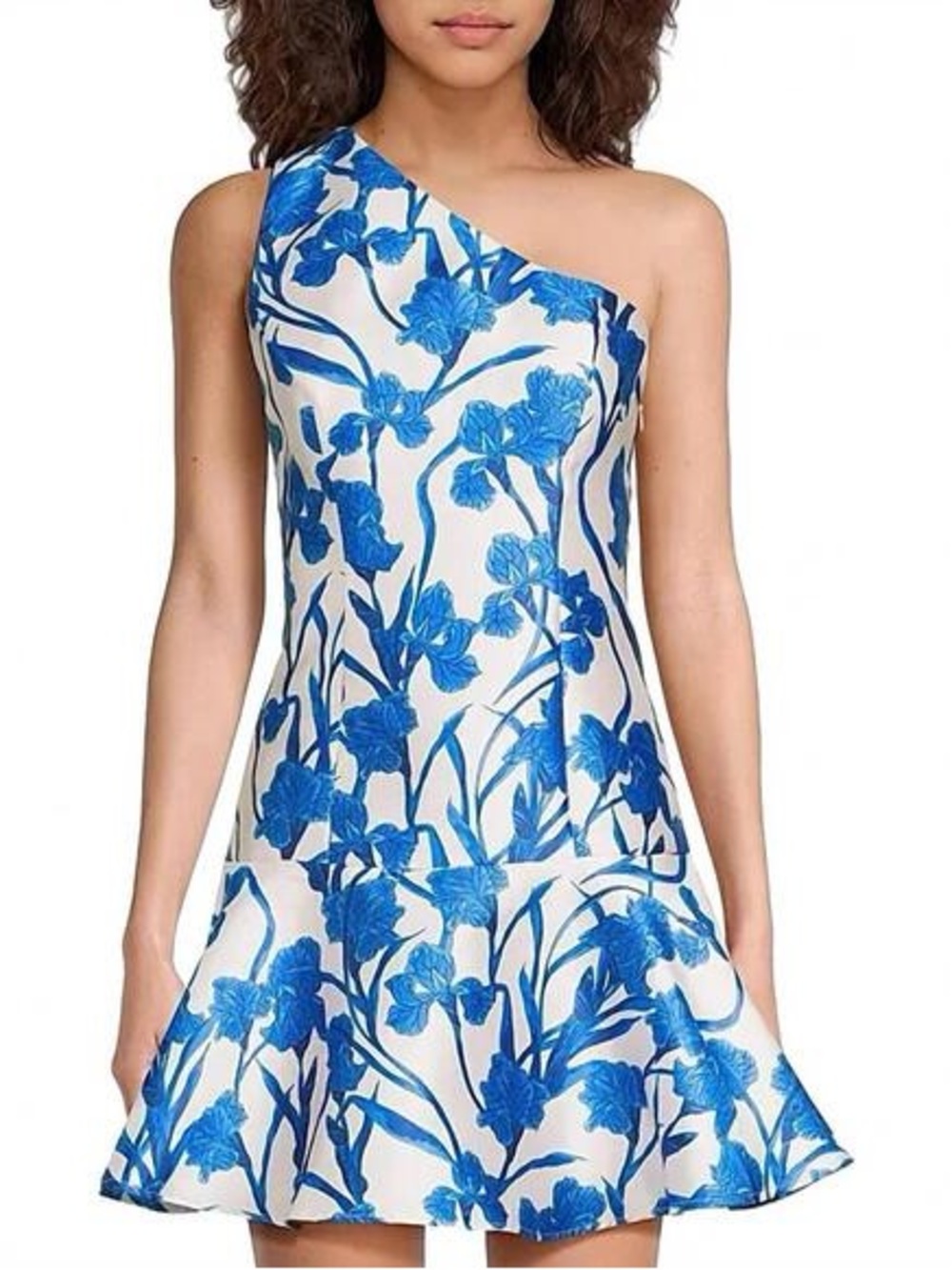 Hutch One-Shoulder Blue & White Floral Dress